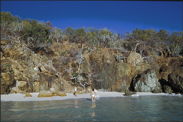 Cliffs of Prickly Pear Island