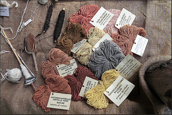 Villarbasse. Experimentation field. Raw wool, colored with natural colors