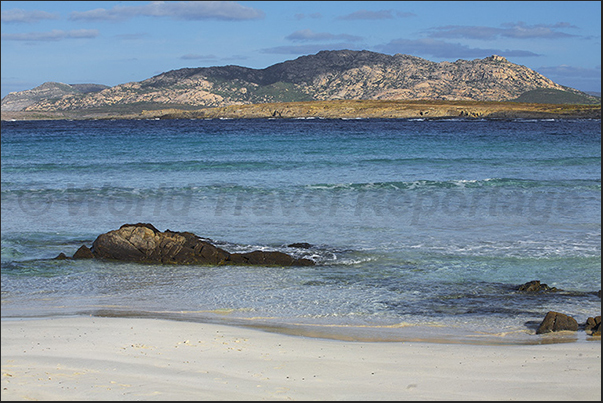Stintino. Asinara Island, view from the beach of Pelosa, one of the most famous beaches of Sardinia