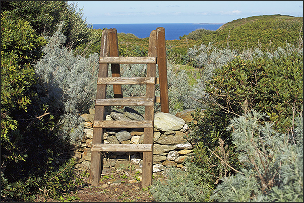 To overcome the barbed wire that separates the farms, are used wooden stairs frequent along the path