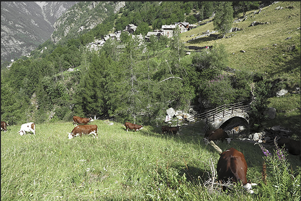 The alpine villages of Niel and Gruba