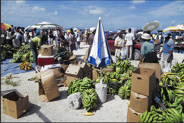 Market of Marigot, the capital of the French island