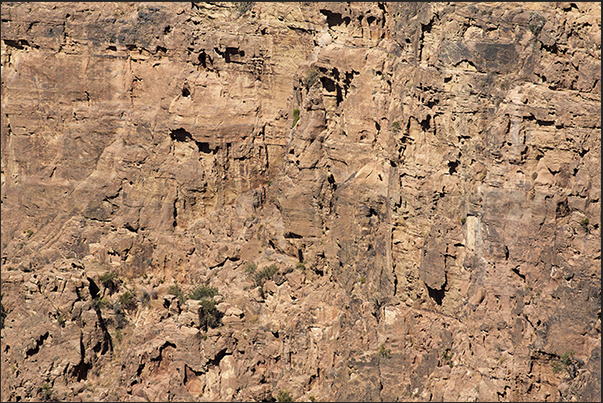 The trail from Dana village to Feynan crosses the reserve between high rock walls
