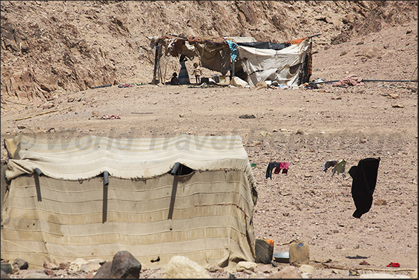 At the end of the valley, meet the tents of nomadic shepherds living on the edge of the desert