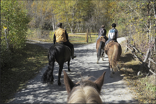 The horse riding starts on the cross-country ski track towards Beaulard