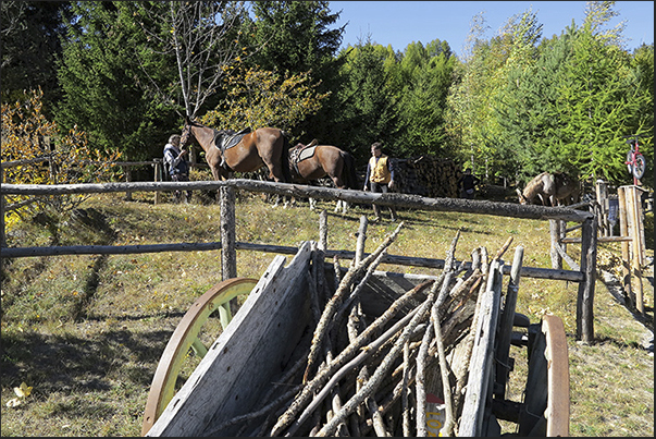 Vazon alpine village. The fence for horses