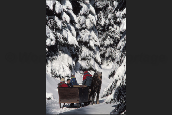 Sainte Eulalie. On the sled to reach the herds of bison