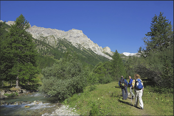 The path along Stretta Valley creek