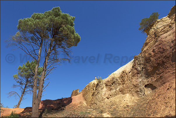 Provencal Canyon. Area called Sahara