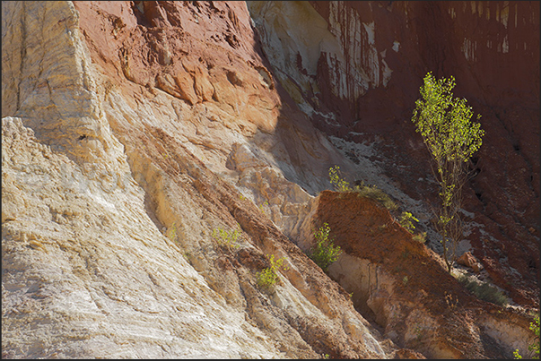 Contrasts of lights, shadows and colors are always present along the paths of the canyon