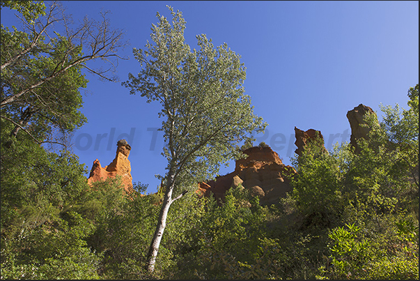 Pinnacles appear suddenly above the forest as guardians of Provencal Canyon paths