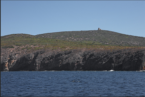 Saint Antioco Island, cliff near Porto Sciusciau