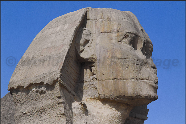 Cairo. The sphinx