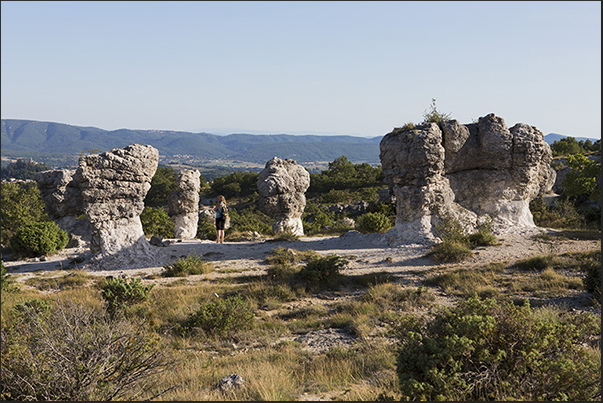 Les Mourres is an area that overlooks Durance river valley not far from the town of Forcalquier famous for lavender