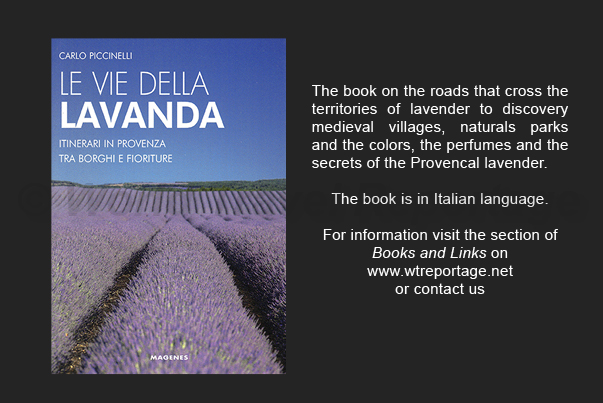 Roads and paths that cross the territory of Provencal lavender