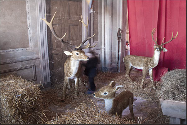 In the halls of the castle there are reproductions of the environment where Santa Claus lives, a real joy for children