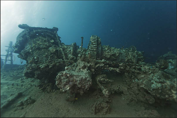 80 years have passed and the wreck has become one of the most important dives for divers