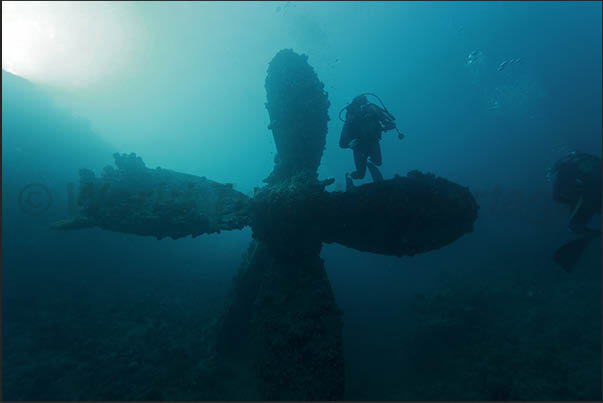 One of the two propellers of the wreck
