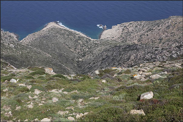 The north cliff near Aghia Triada at 300 meters above sea level on the north east tip