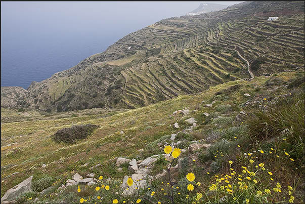 North cliff near Episkopi. The terraces once used for the cultivation of fruit, wheat and vegetable plants