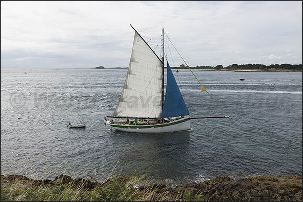 Typical Breton sailing boat with wooden hull at the entrance of the gulf