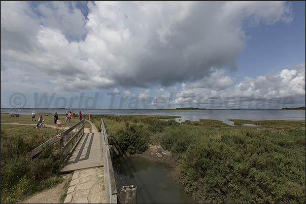 Path from Lasné to Le Hézo along the marshy area with pools of water that fill and empty with the tide