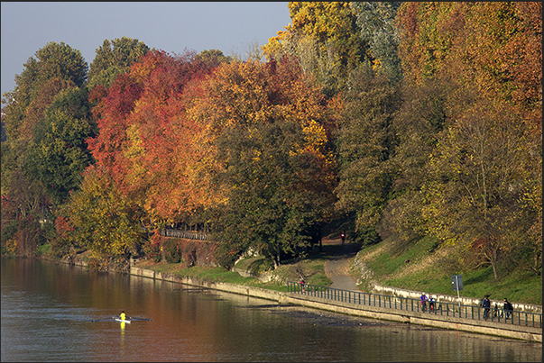 Autumn on the banks of the Po river