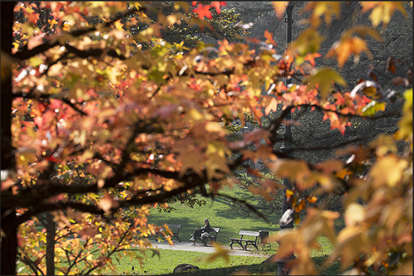 Autumn glimpses in Valentino Park