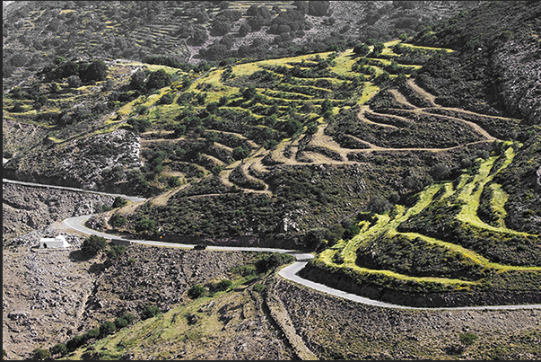 Winding mountain roads reach the terraced crops in the center of the island