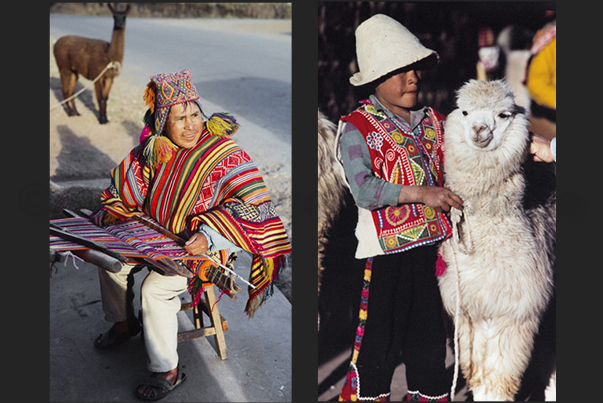 Ollantaytambo village. Carpet craftsman and shepherd with his Lama