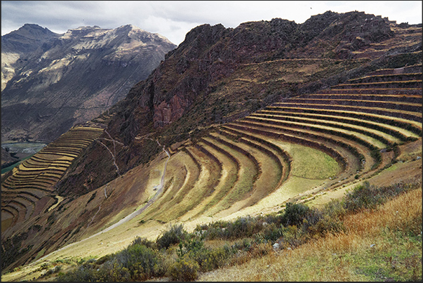 Terrace crops from the Inca period above the Pisac village