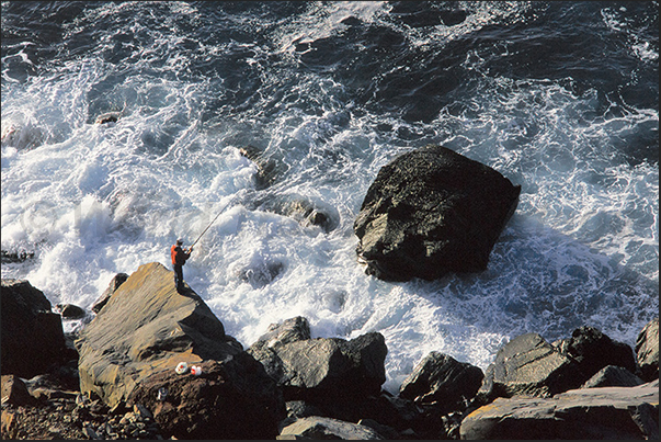 Cliffs of Madalena do Mar (south-west coast). Fisherman
