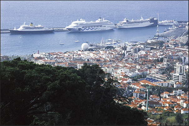 Port of Funchal capital of the island