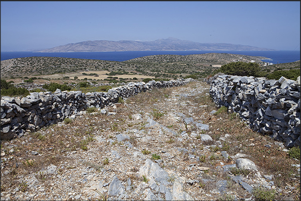 Numerous paths cross the island. On the horizon the island of Naxos