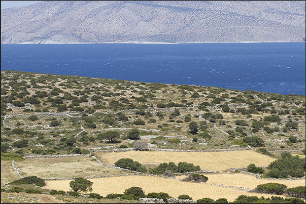 Cultivated fields on the coast in front of the island of Naxos