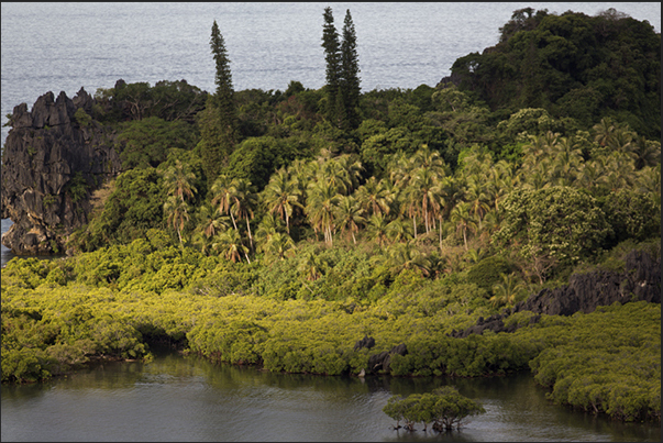 East Coast. The Hienghène Bay. The tropical forest around the bay.