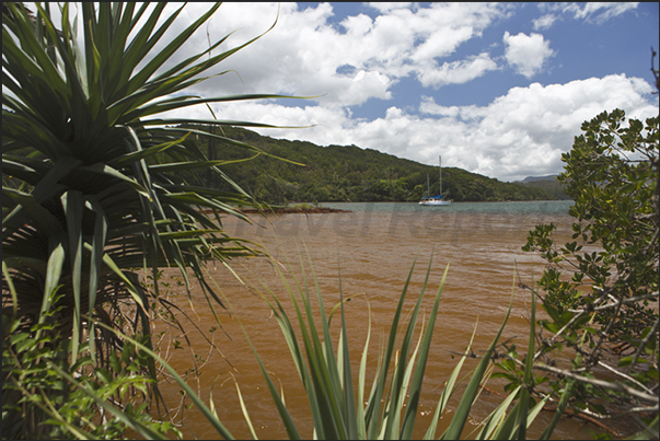 South coast. Prony Bay. The mud carried by rivers crossing the red earths, color the sea water