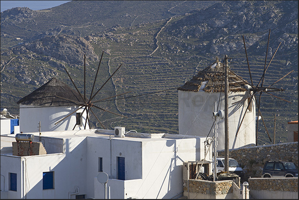 In the background, the terraced crops that once fed the windmills of Chora with grain