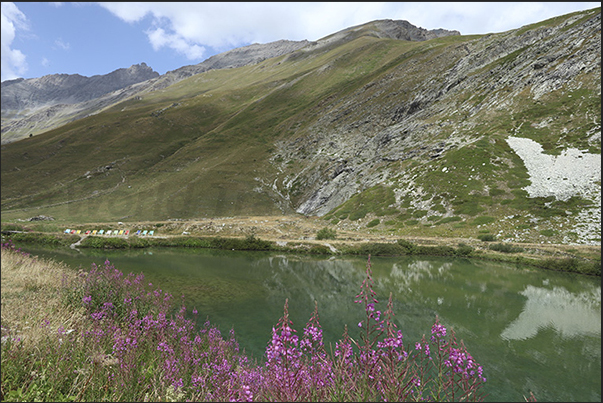 Small lake on the Grange du Fond plateau in front of the Scarfiotti refuge (2,165 m).