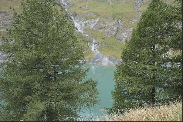 Lake produced by the dam (1,973 m) that collects the water that flows from the streams of the upper Rochemolles valley