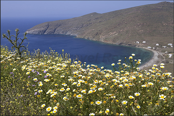 In spring the island is covered in flowers and colors that break the monotony of the brown rocks