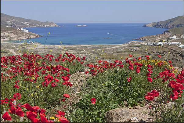 North coast. Panormos bay