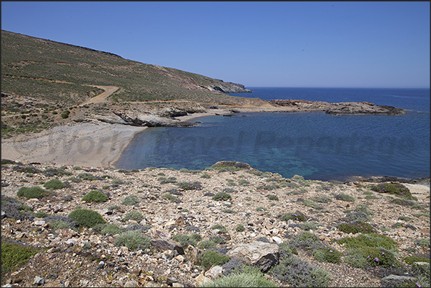 East Coast. Tighani Bay. The beach