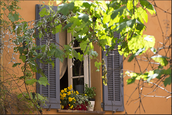 Vases of flowers decorate the windows in the streets of the village