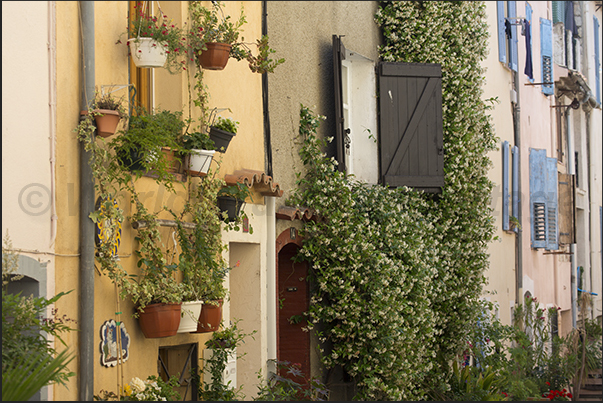 Floral arrangements in the streets of the village