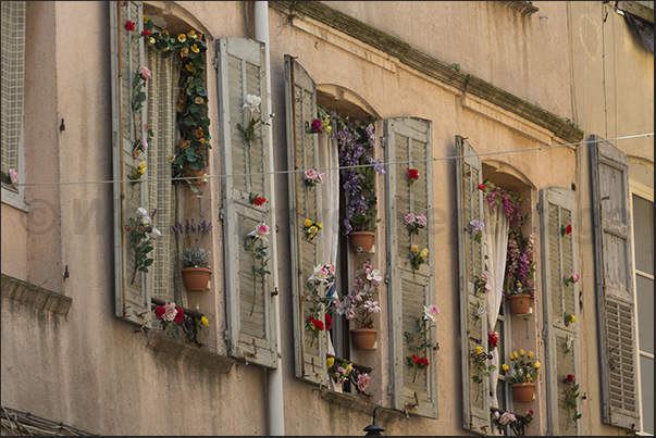 Windows decorated with flowers in the alleys of the historic center