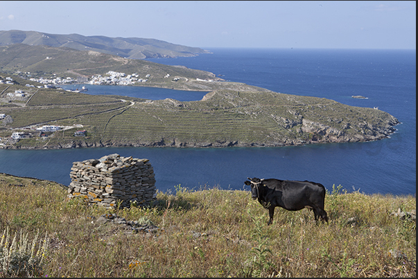 In the background the bay of the port of Merichas, the port of arrival of the ferries