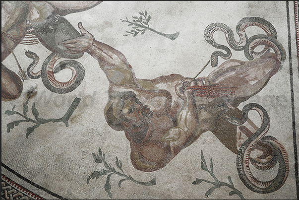 The triclinium room where dinners with dances and music were organized. The mosaics represent Hercules and some Gods The triclinium room where dinners with dances and music were organized. The mosaics represent Hercules and some Gods