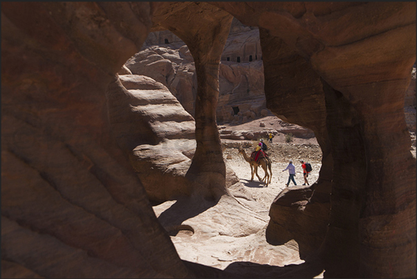 From the houses carved into the rocks, are observed unexpected camel who accompanies the lazier tourists in visiting the city