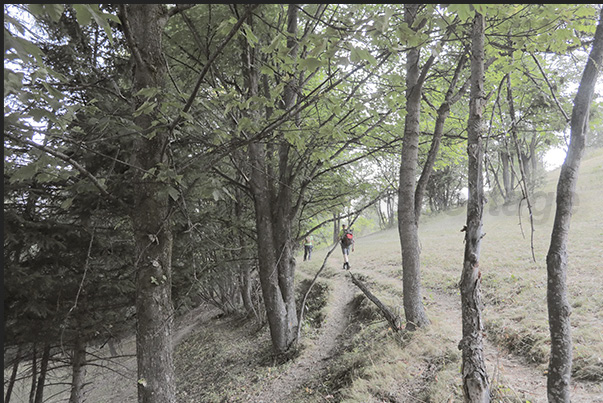 Path towards the Vazon hamlet (altitude 1,650 m)
